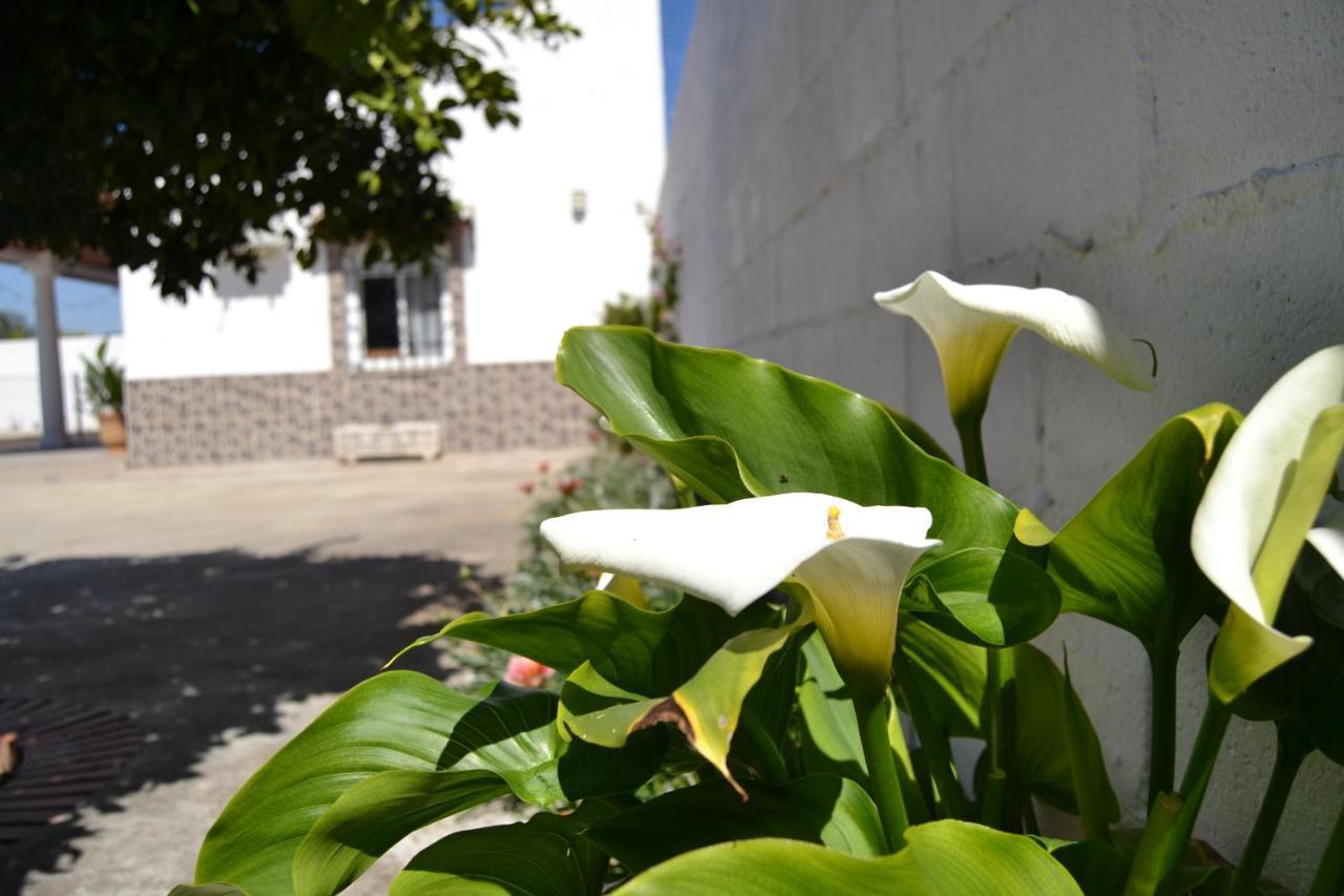 La Orquidea De Cordoba Villa ภายนอก รูปภาพ